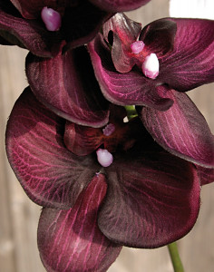 2423 299 a2 Искусственная орхидея Phalaenopsis, 92см, антично-темно-пурпурная H-andreas