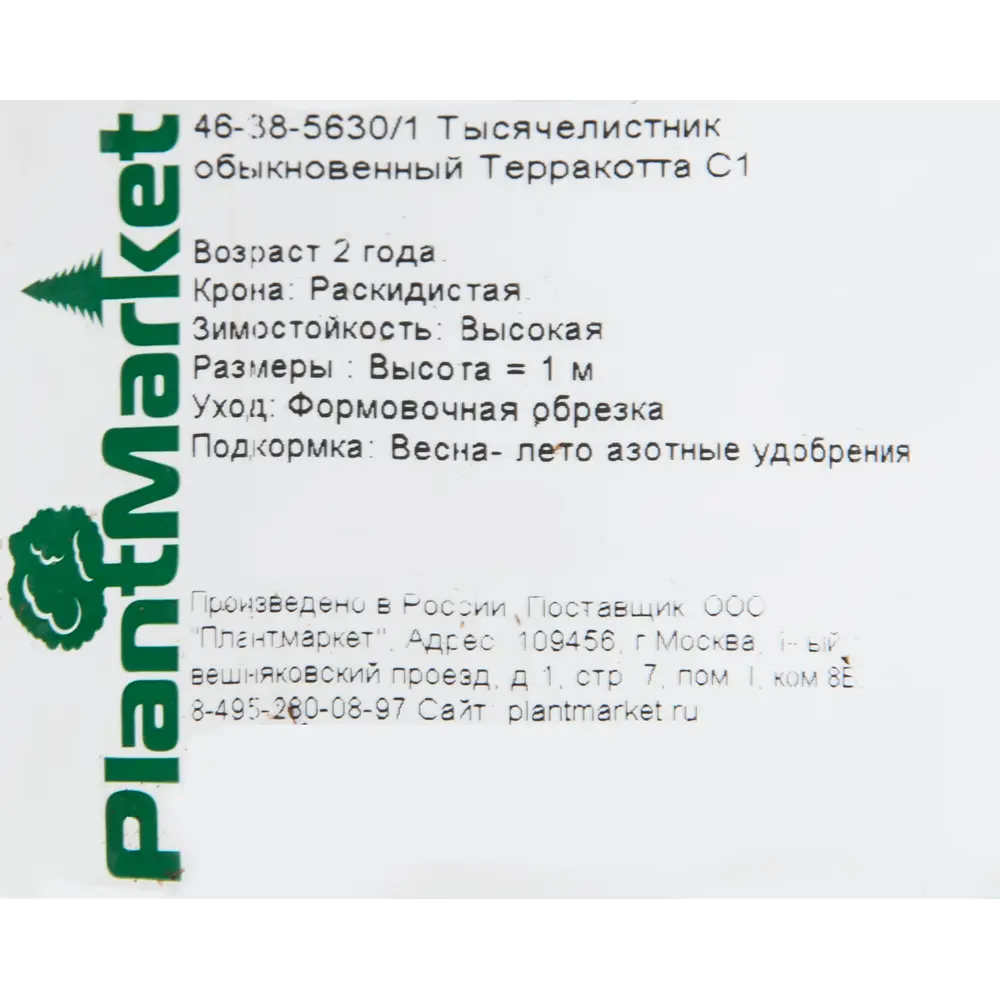 Тысячелистник обыкновенный «Терракотта» 14x40 см 82625246 STLM-2024468 PLANTMARKET  - Вид №1