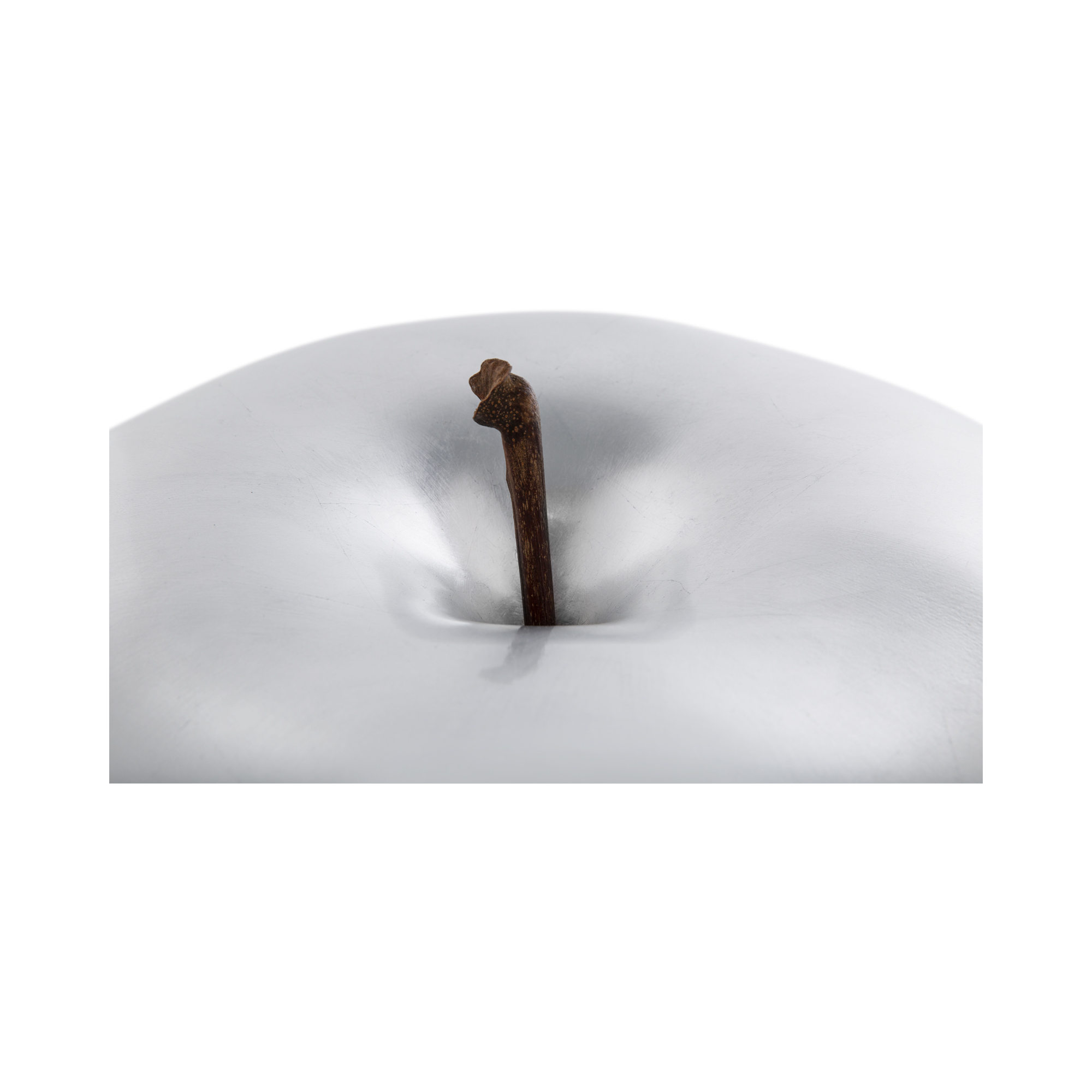 Арт-объект / Indoor Plated Super Extra Bullstein sun-id-373073 - Вид №2