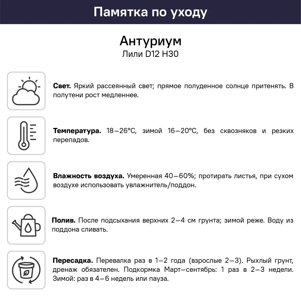 Антуриум Лили ø12 h30 см 89409565 STLM-2146964 Santreyd  - Вид №5