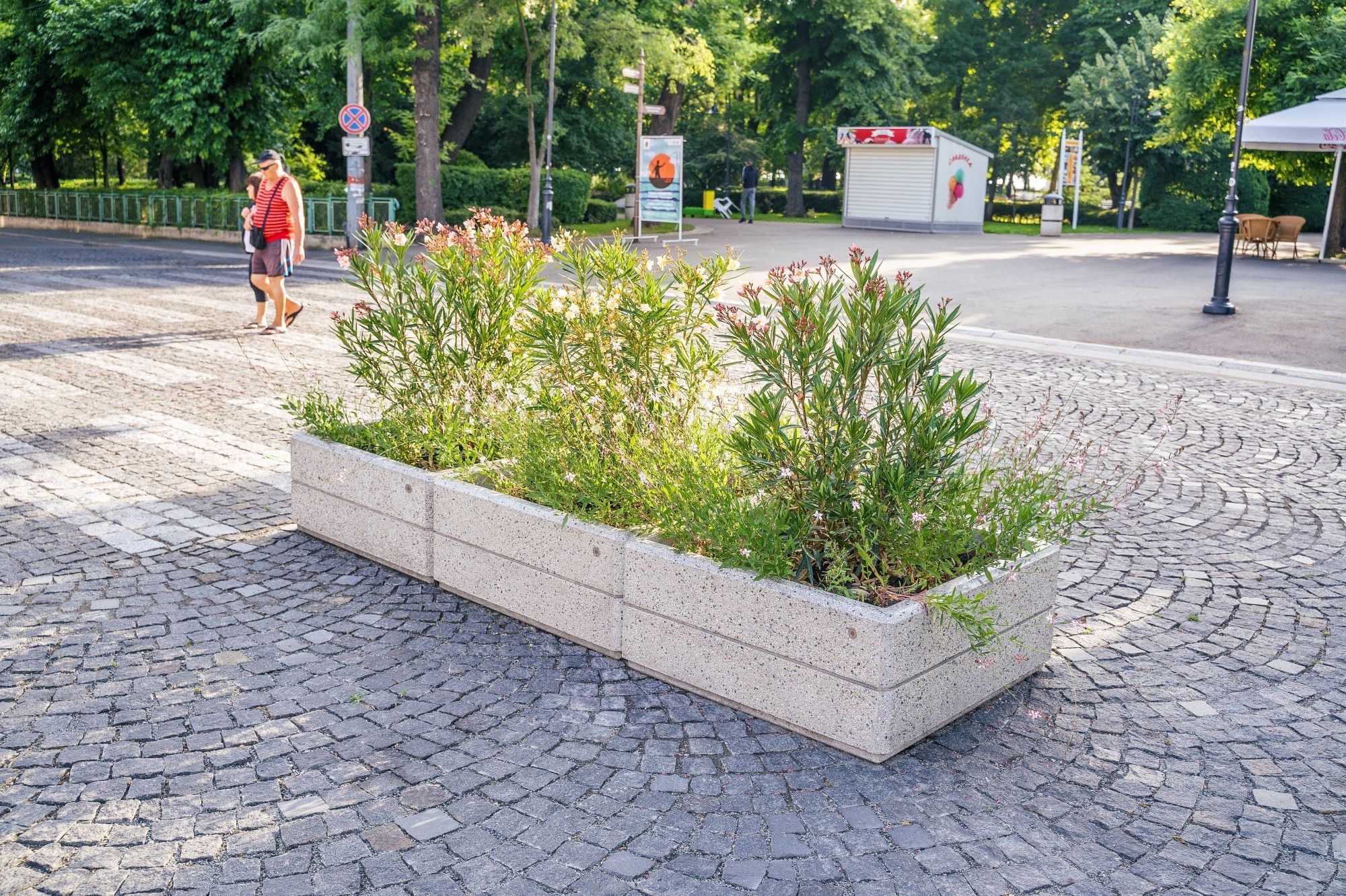 Бетонная квадратная плантатор ENCHO ENCHEV - ETE 214 ARCH-00152474 - Вид №3