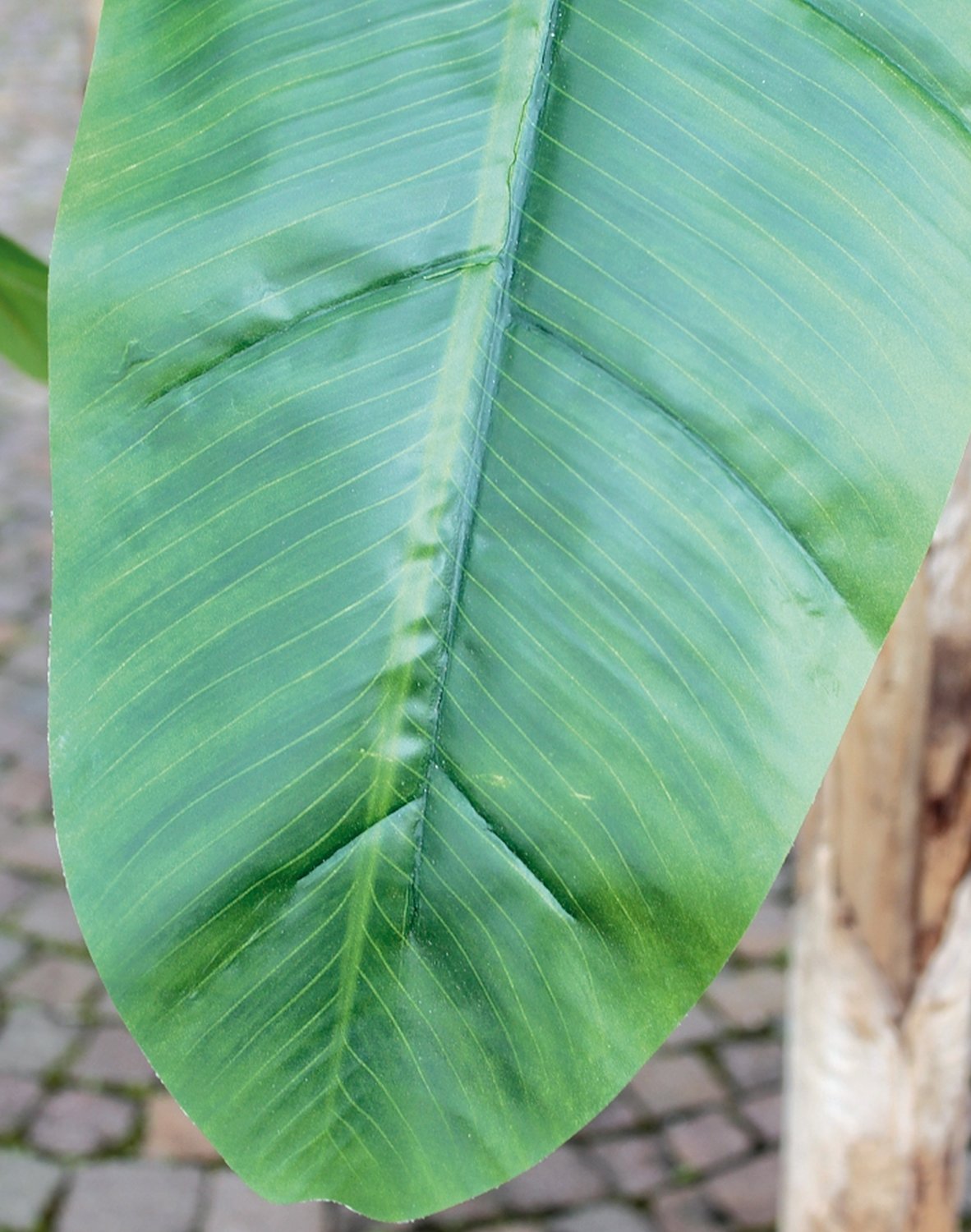 5783 883 a3 Банановое дерево, шелк, в горшке, 300 см, зеленое H-andreas  - Вид №3