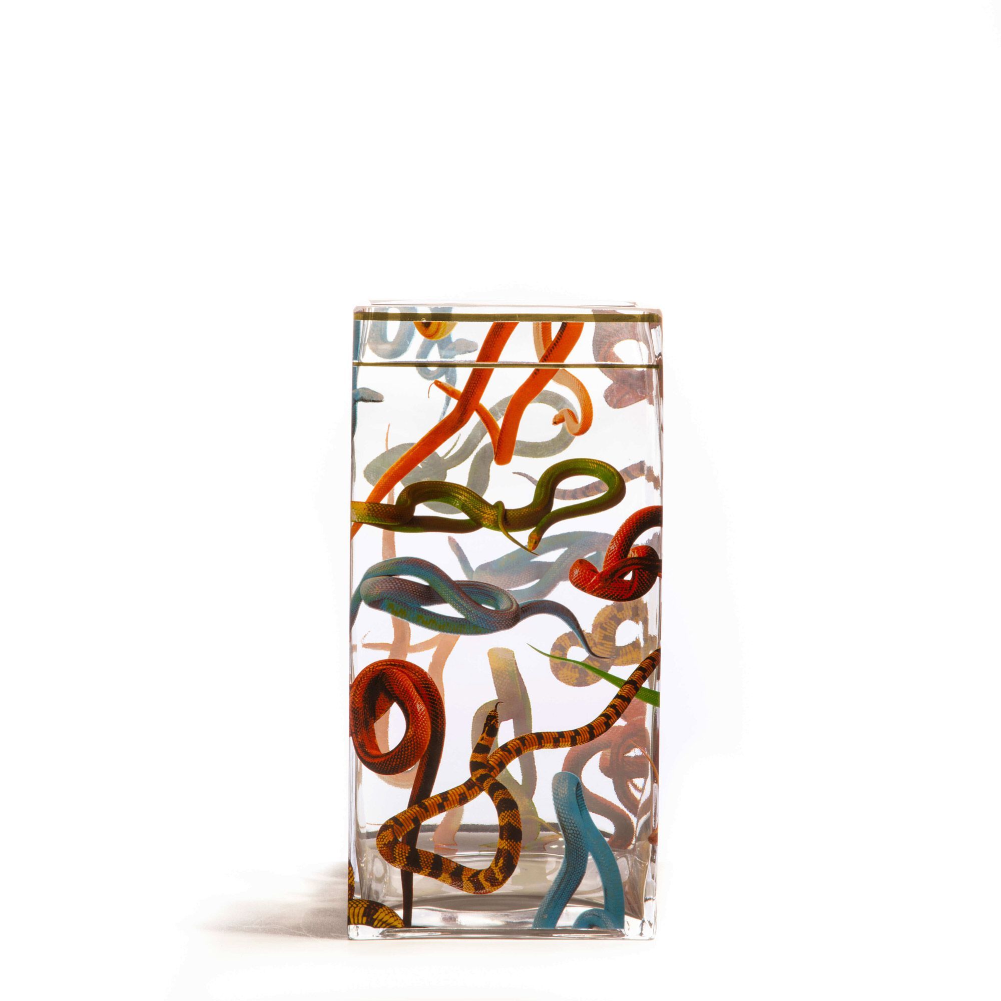 Стеклянная ваза Seletti SNAKES ARCH-00078897 - Вид №4