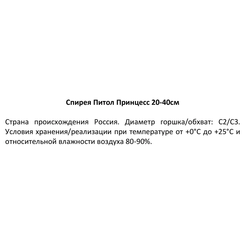 Спирея японская Литлл Принцесс ø19 см h20-40 см 85087683 STLM-2130993 Santreyd  - Вид №2