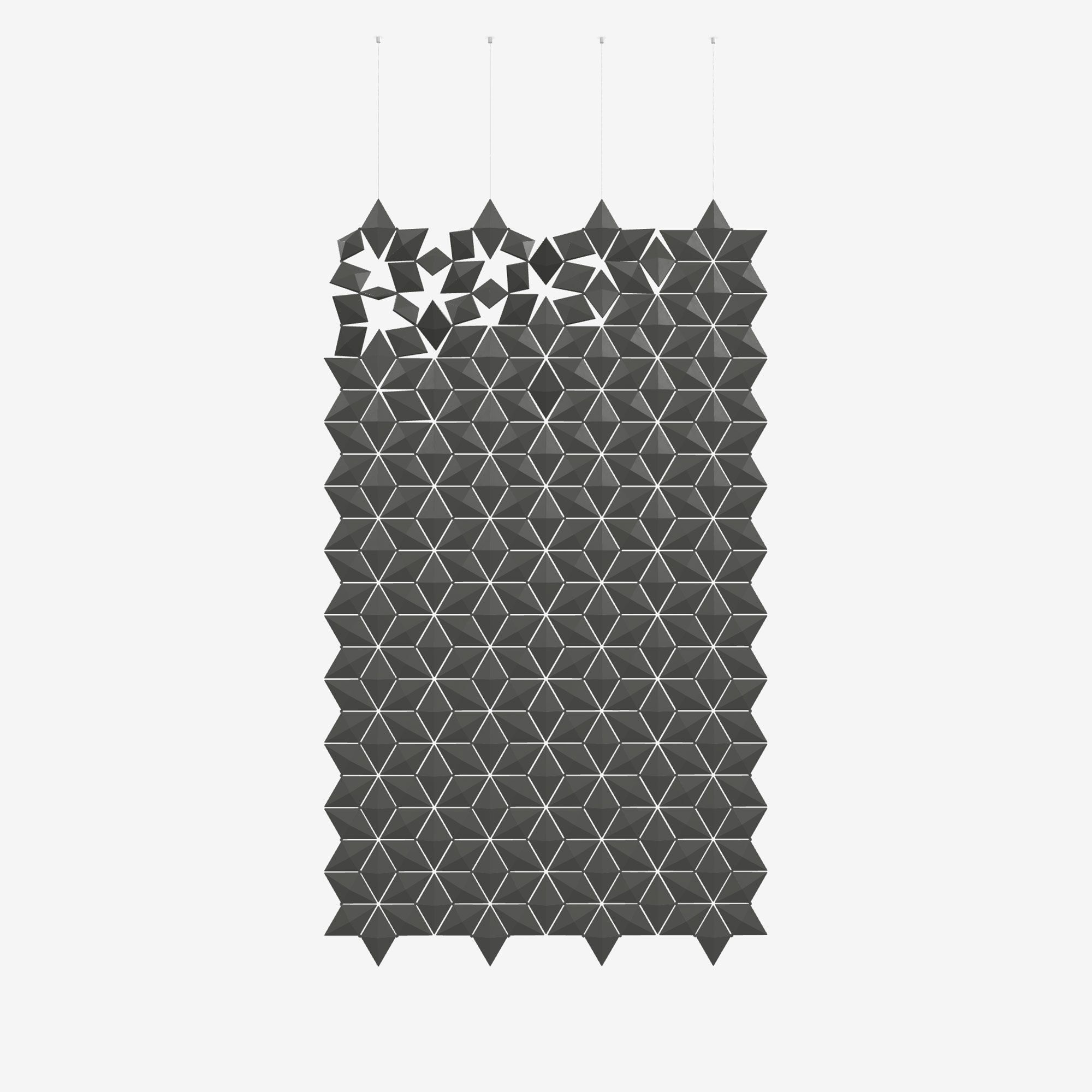 Подвесная перегородка bloomming FACET 136x236cm in grafite ARCH-00012271