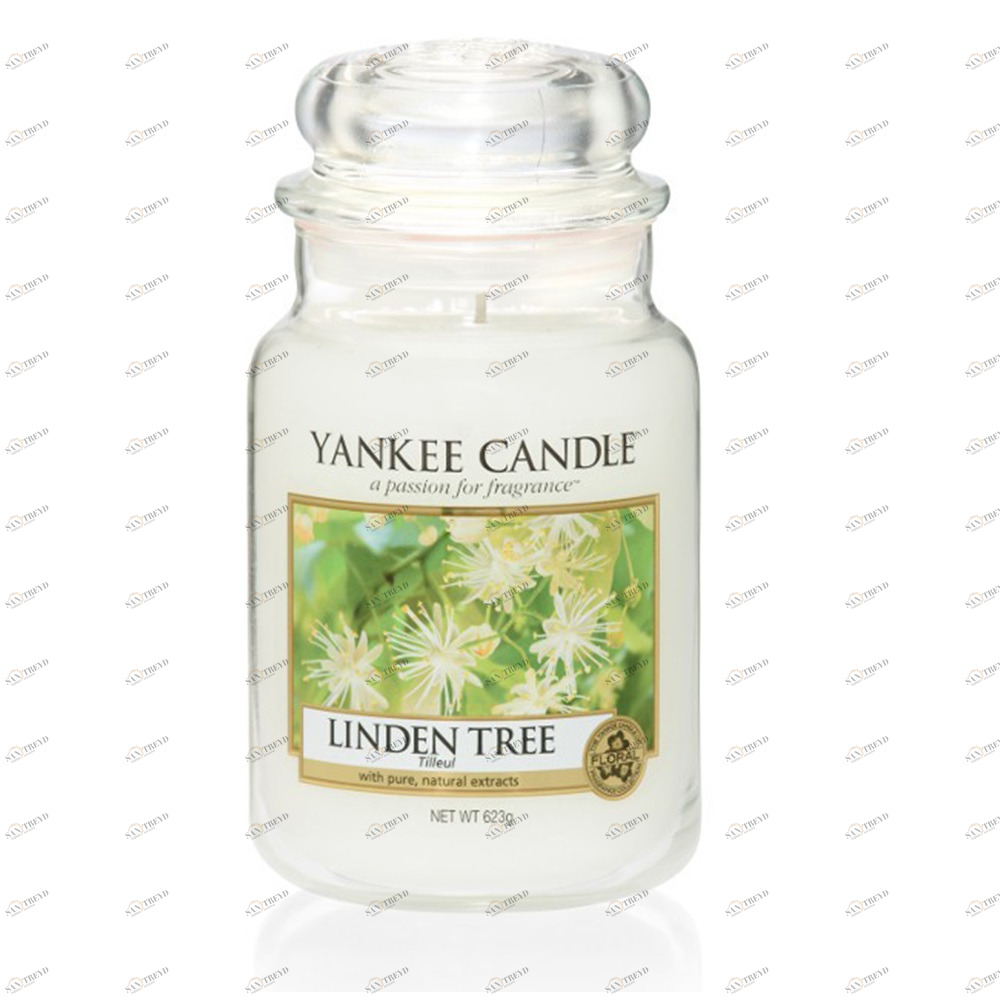 Свеча большая в стеклянной банке "Липа" Linden Tree 623 гр 110-150 часов YANKEE CANDLE  267837 Белый 