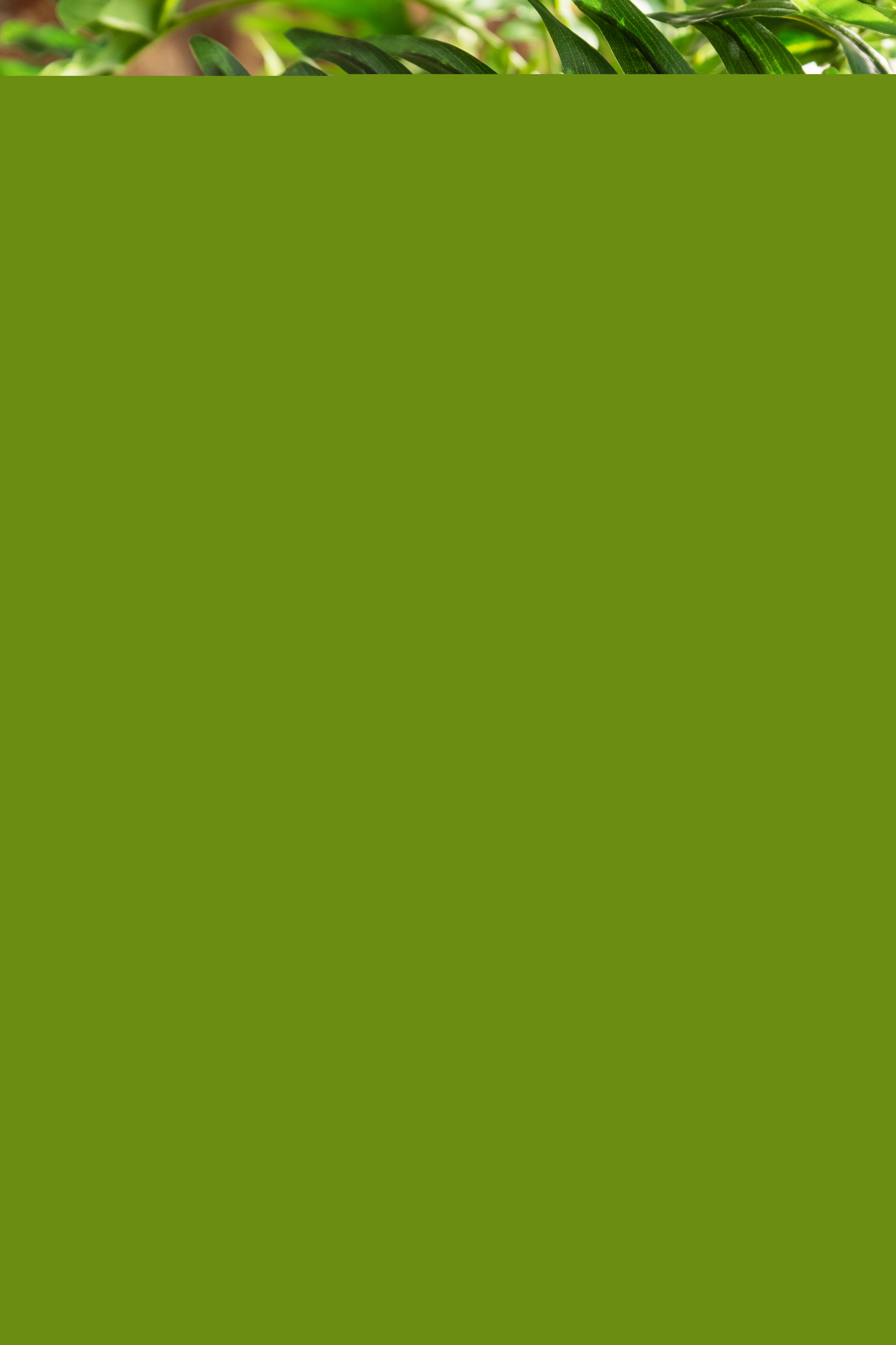 88249647 Искусственное растение в горшке прованс белый STLM-0077031 Santreyd  - Вид №3