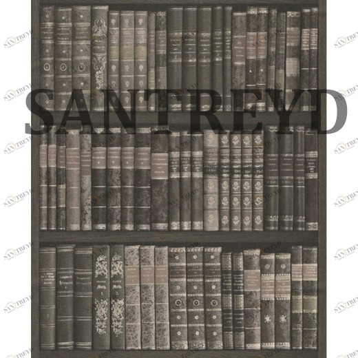 525823 Обои Rasch Crispy Paper