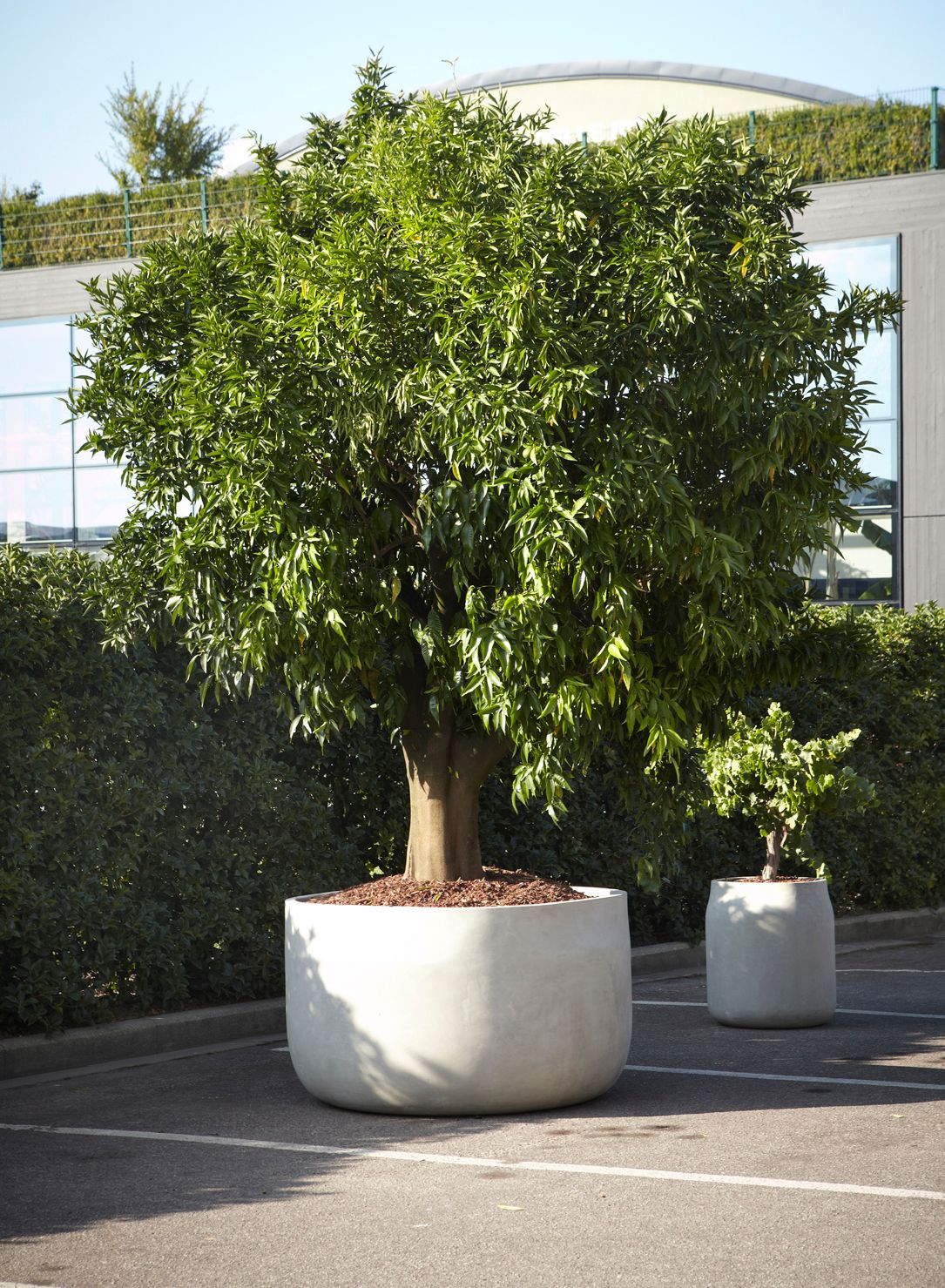 Бетонный садовый горшок Antoniolupi гиганты ARCH-00122157