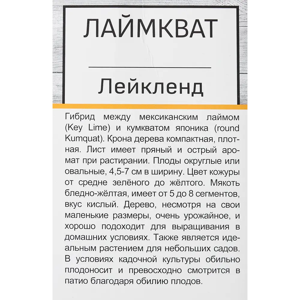 Цитрус Лаймкват Лейкленд h40 см 86543938 STLM-2199182 Santreyd  - Вид №2