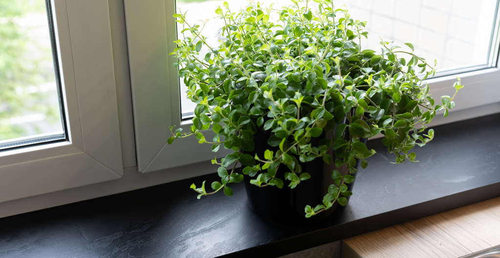 Столешницы для кухни - Тенерифе LIGRON LIST373 1126 - Вид №20