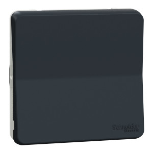 MUR37021 Переключатель 1-клавишный , скрытый монтаж, антрацит Schneider Electric Mureva Styl