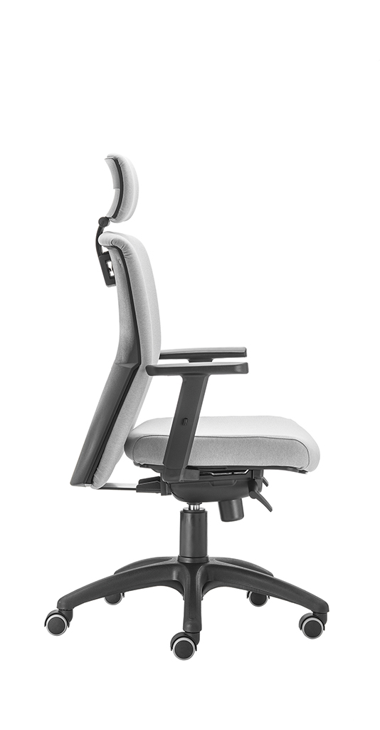 CMPKD Assia ev advanced вращающееся кресло Vaghi  - Вид №1