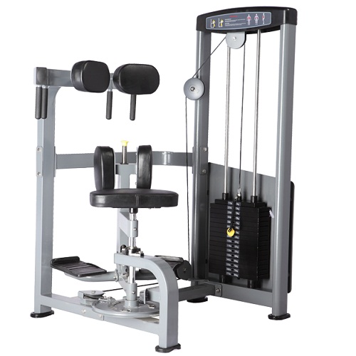 D-011 Bronze gym d-011 торс-машина Bronze Gym D серия 