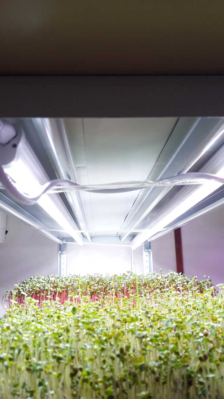 1016 Фитолампа для растений линейная VA-3 120 см Samsung 5000К LAB.Space  - Вид №4