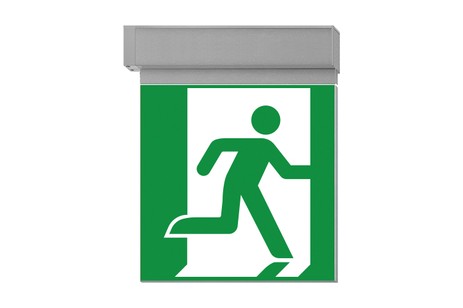 DST-1810 Ikus 2222-b Daisalux Светильники сигнальные Серебристо-Серый 