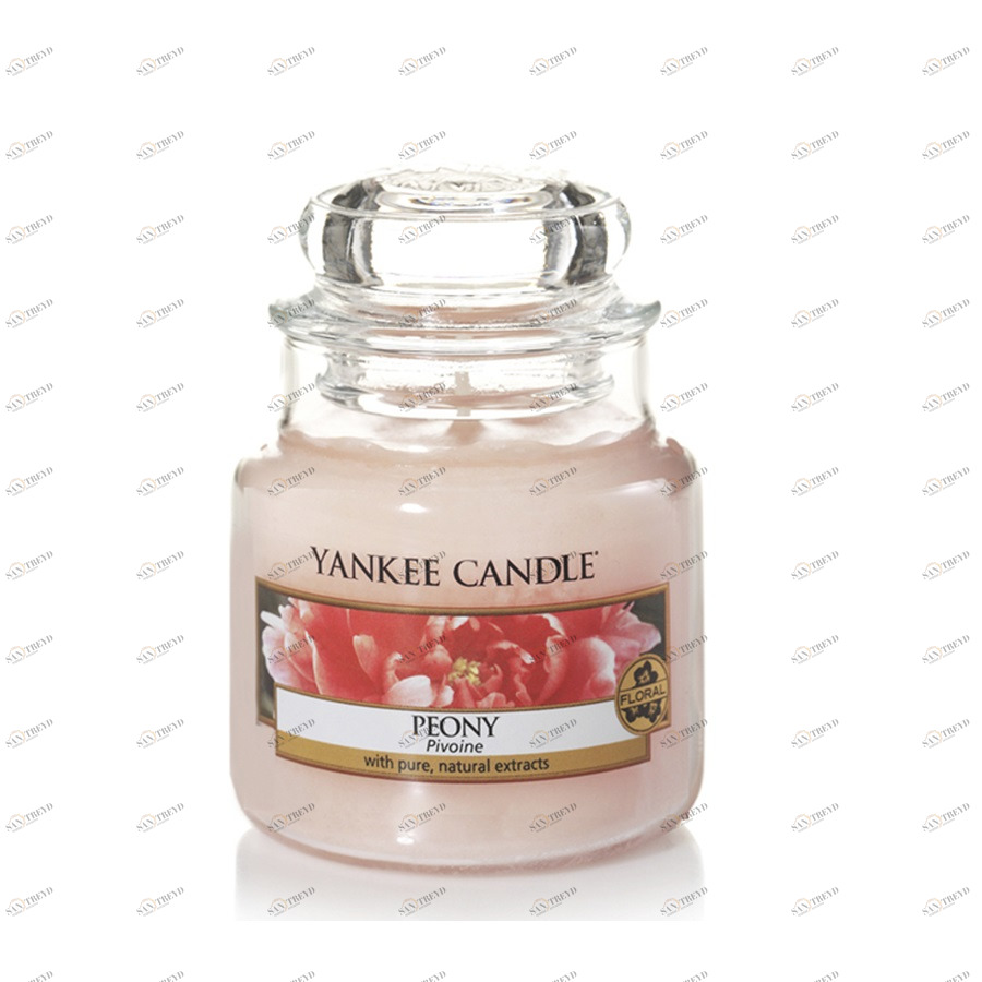 Свеча маленькая в стеклянной банке "Пион" Peony 104 гр 25-45 часов YANKEE CANDLE  267924 Розовый 