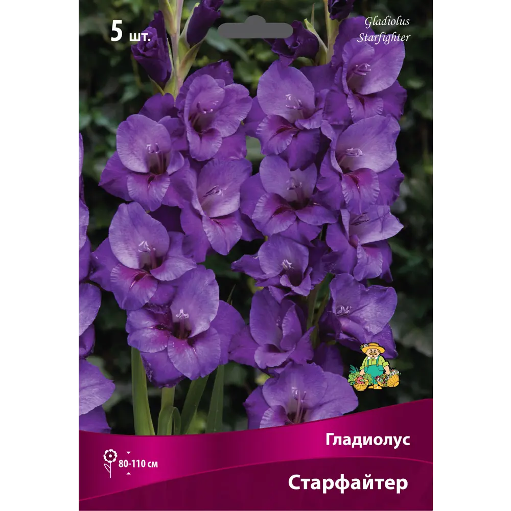 Гладиолус крупноцветковый Старфайтер луковица 12/14 83596994 STLM-2080169 ПОИСК 
