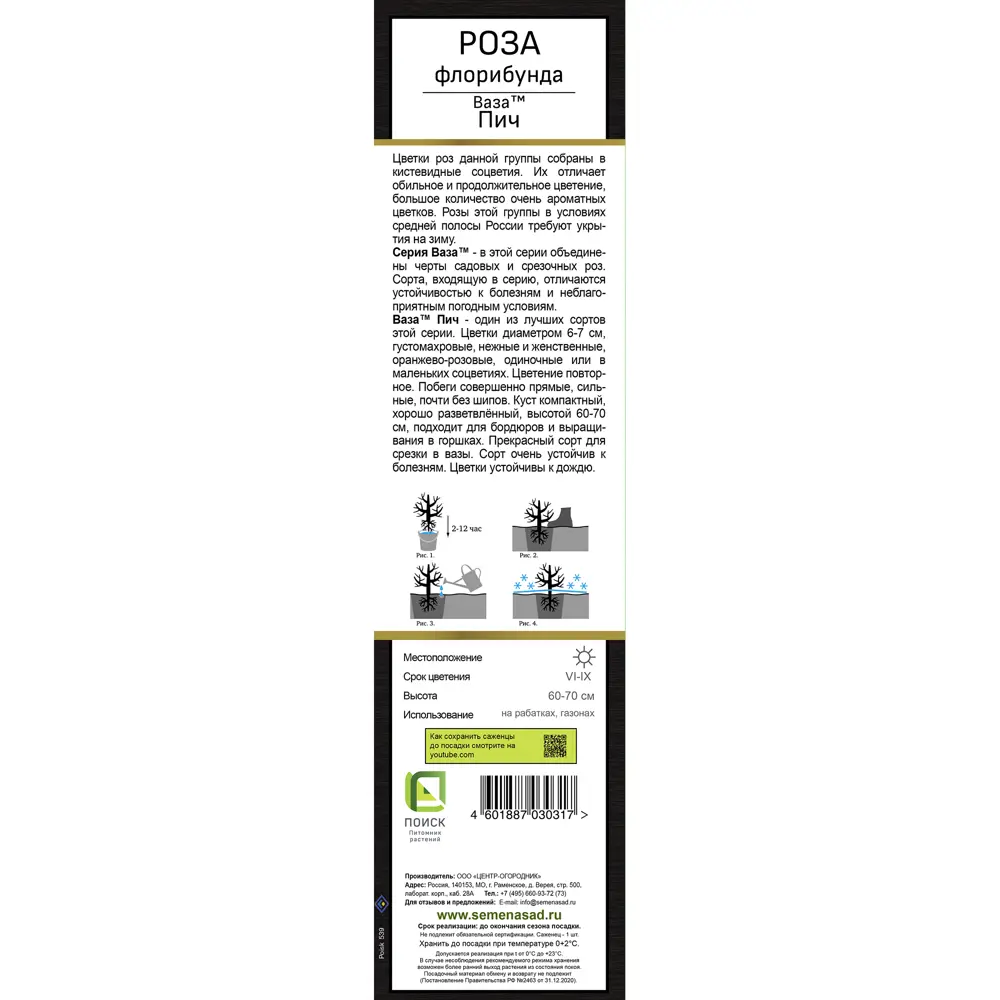 Роза флорибунда Ваза пич h37 см 83786638 STLM-2181571 Santreyd  - Вид №2