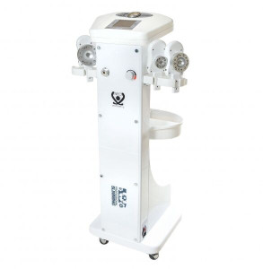 16059 Аппарат вакуумно-роликового массажа с хромотерапией Slimming D-528 AURO