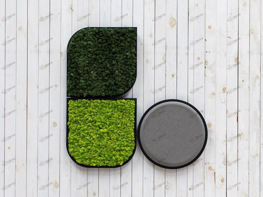 BuzziSpace Акустическая декоративная панель из мха sun-id-1405297