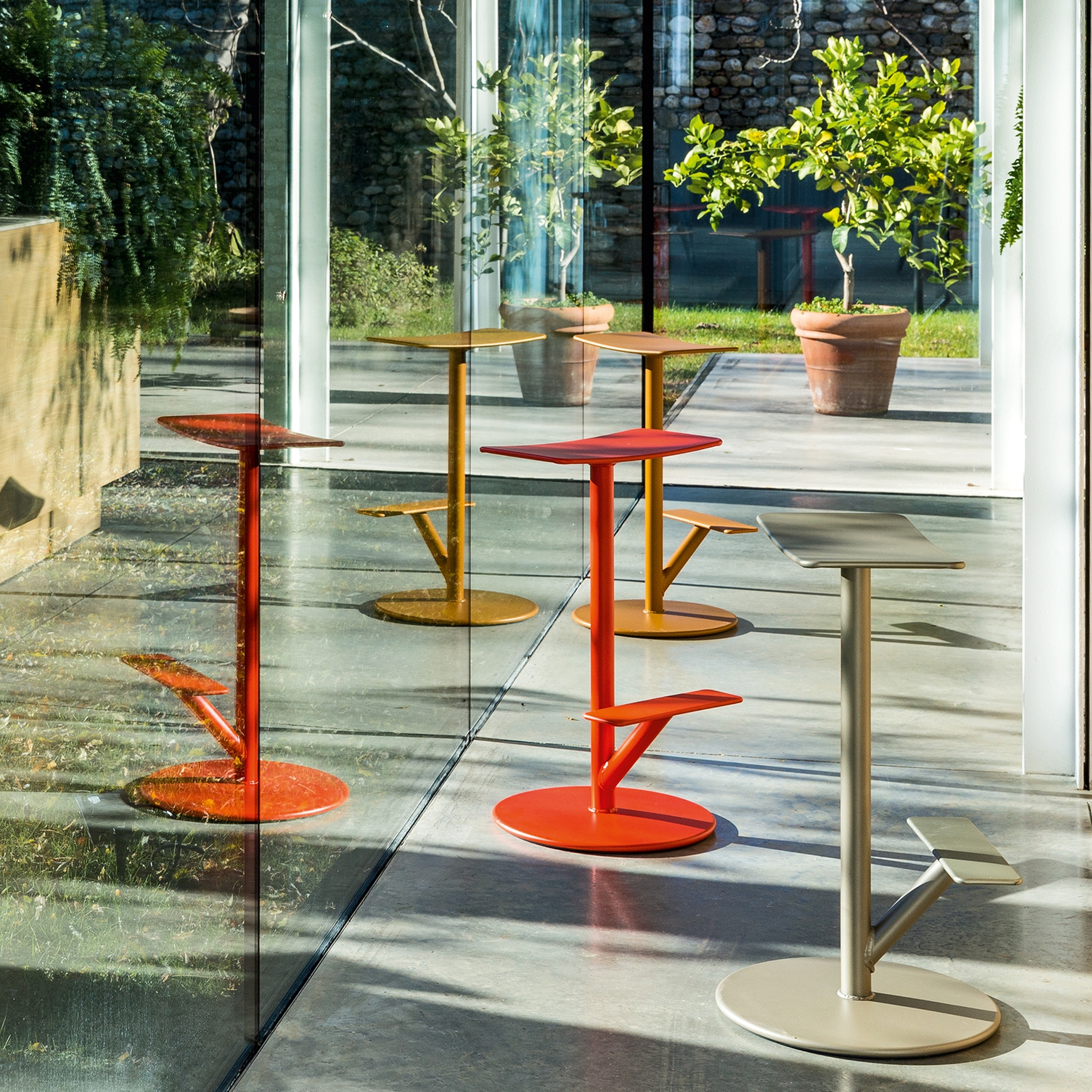 Секвойя Magis sun-id-1328910 - Вид №2