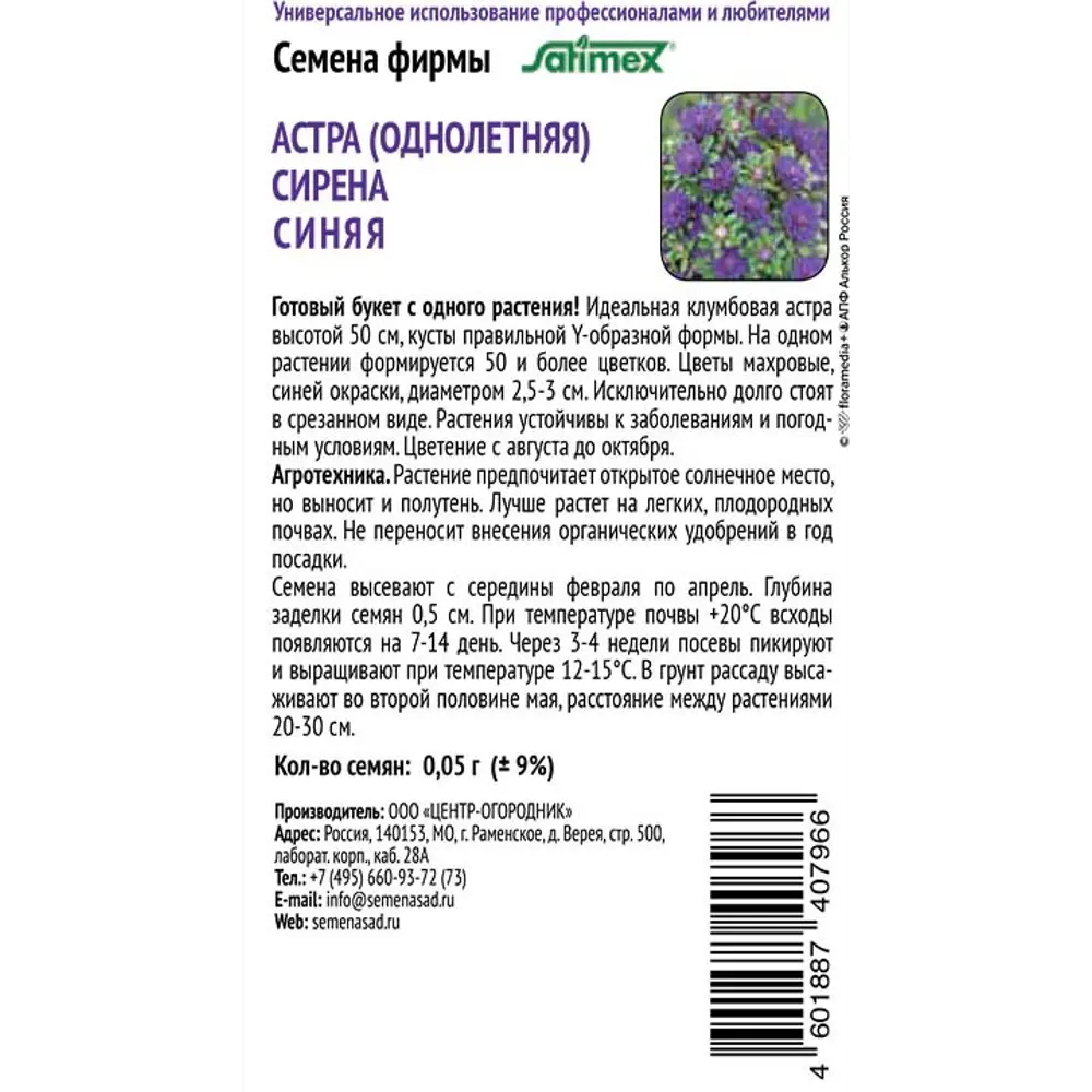 Астра Сирена синяя ПОИСК - пышный букет на одном растении 89401101 STLM-1572419 - Вид №1