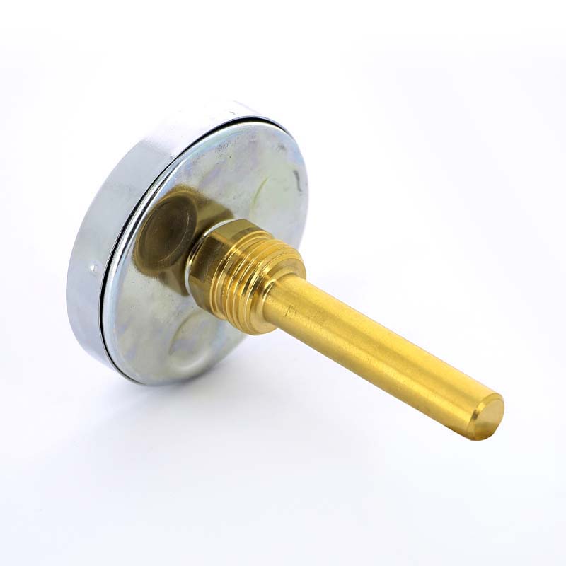 Термометр биметаллический F+R801 63мм с погружной гильзой WATTS Ind 160 град.C гильза 75мм 10005810 - Вид №2