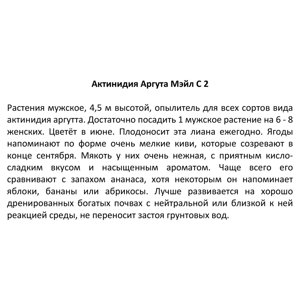 Актинидия аргута Мэйл ø17 h30 см 85325513 STLM-2102535 Santreyd  - Вид №3