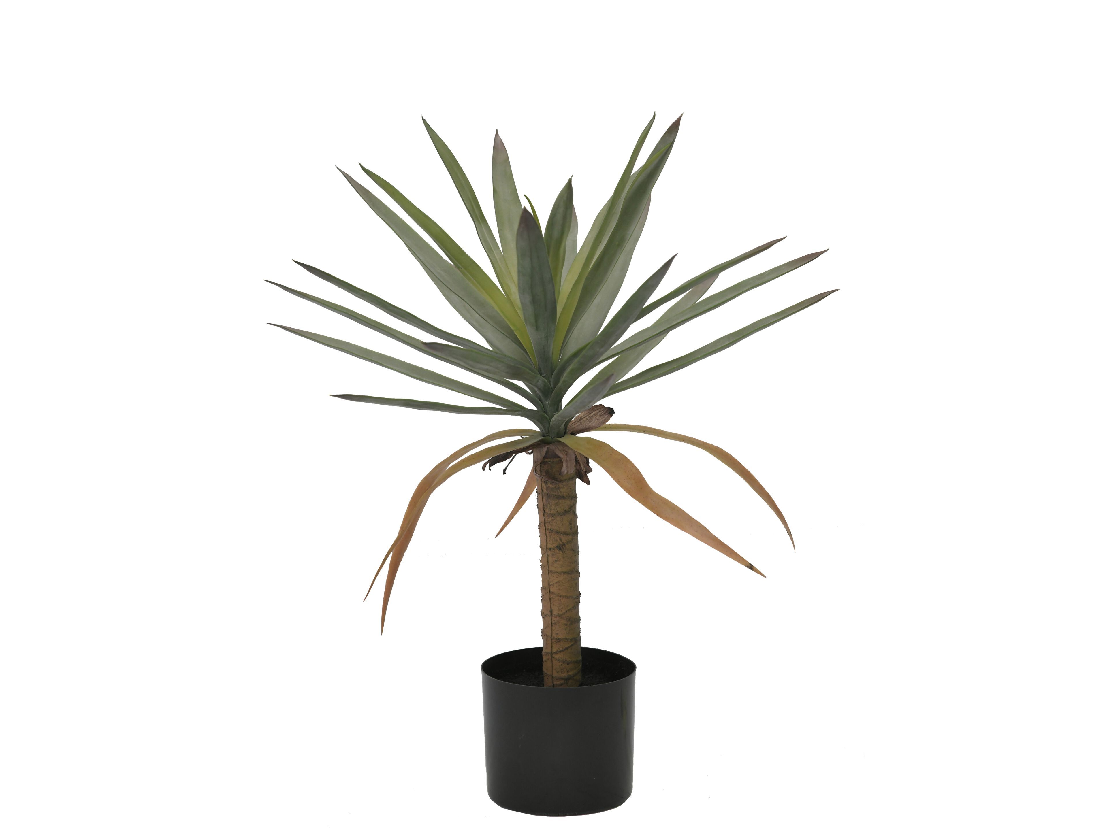 Искусственное растение BIZZOTTO DRACAENA H62 ARCH-00139378 - Вид №1