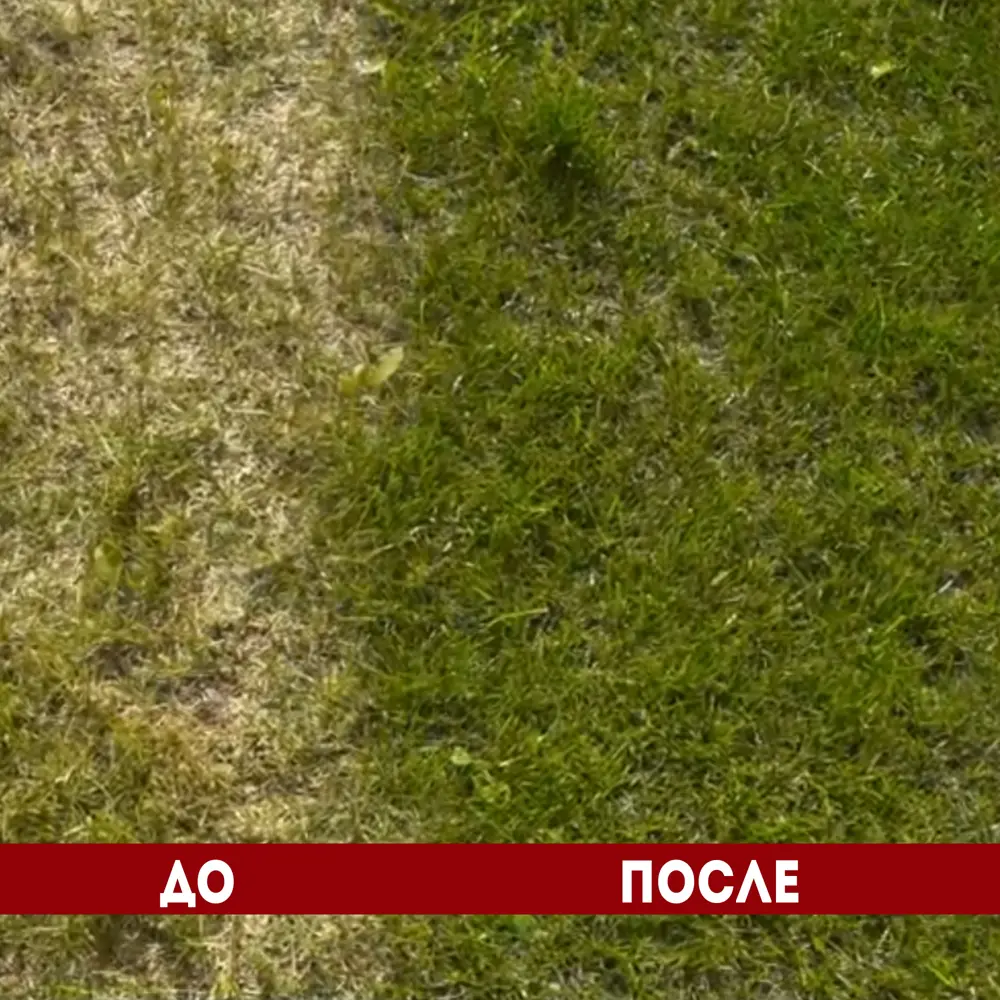 Краска для газона и травы Nevel Silver 1 кг цвет зеленый NEVEL GOLD STLM-2006220 - Вид №4