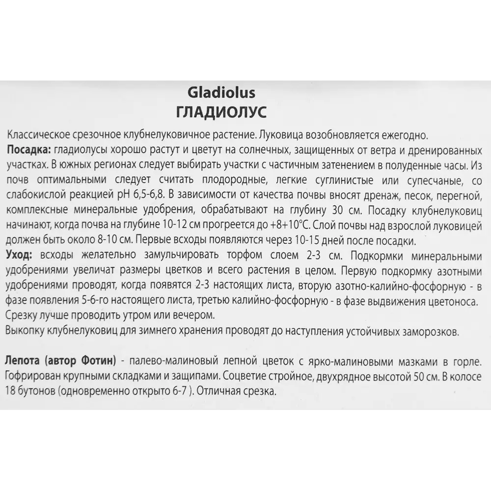 Гладиолус Лепота, 3 шт 86410015 STLM-2000747 ПОИСК  - Вид №2