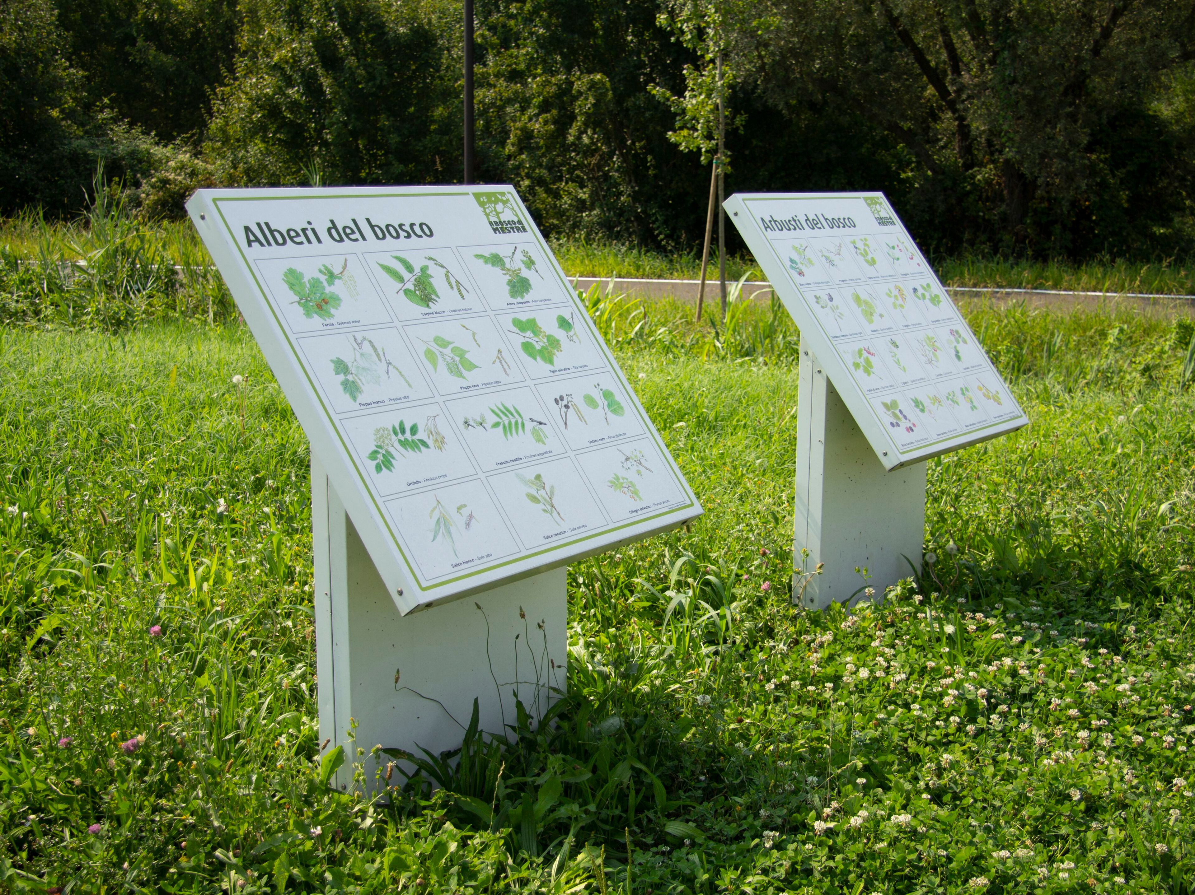 Пюпитр для общественных мест Remor вывески парков ARCH-00123852