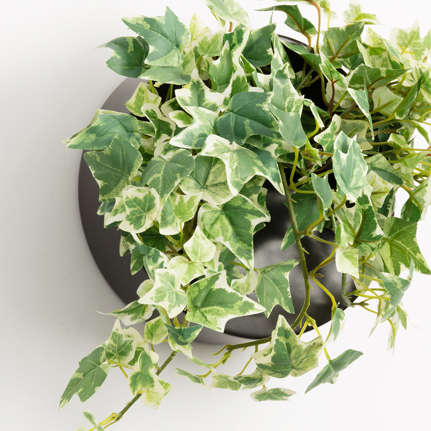 070537 Настенный горшок в черном цвете La Forma Aldina  - Вид №1