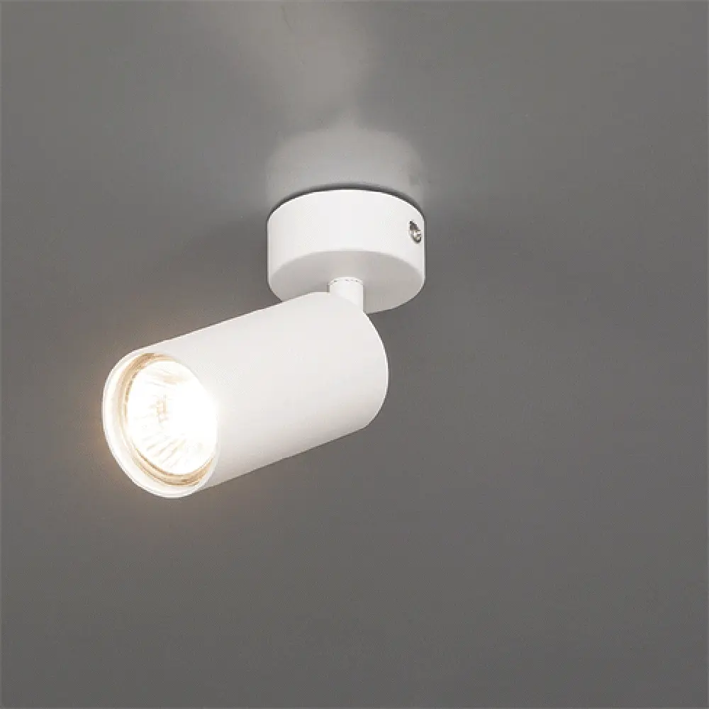 Arte Lamp Arius — поворотный спот для акцентного освещения 82138002 STLM-0020143 - Вид №1