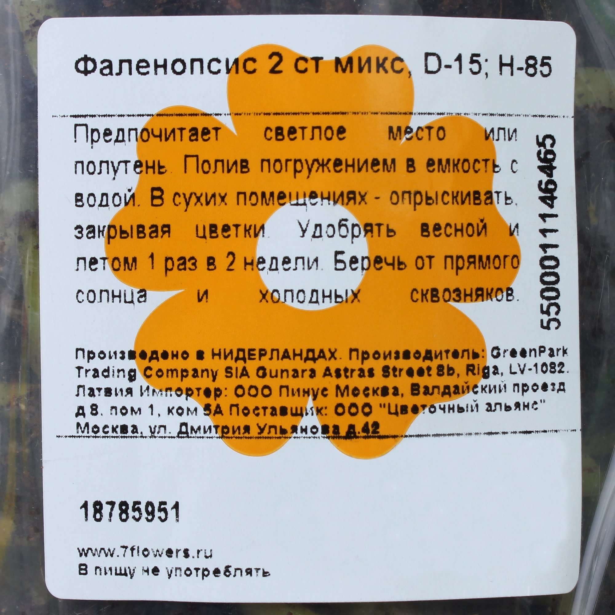 18785951 Орхидея Фаленопсис микс 2 стебля ø15 h85 см Santreyd  - Вид №2