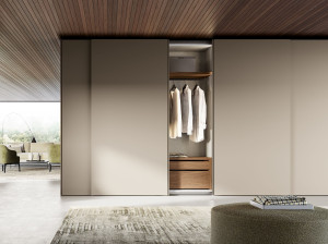 Секционный шкаф с деревянной раздвижной дверью и ручкой / горловиной