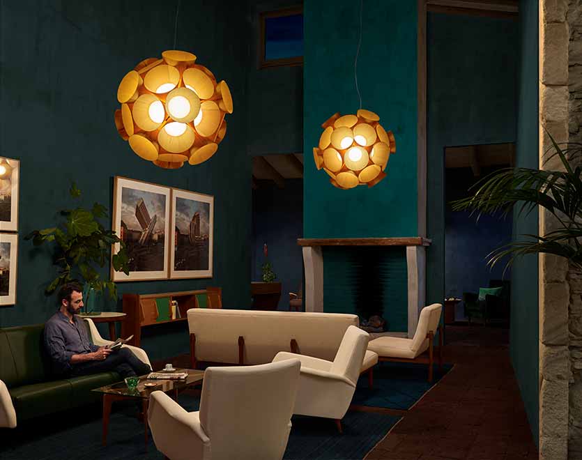 005895 Подвесной светильник LZF Dandelion Santreyd - Вид №16