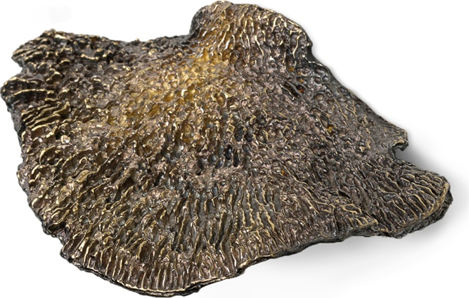 EA1032 Fungi PULLCAST Earth Collection 