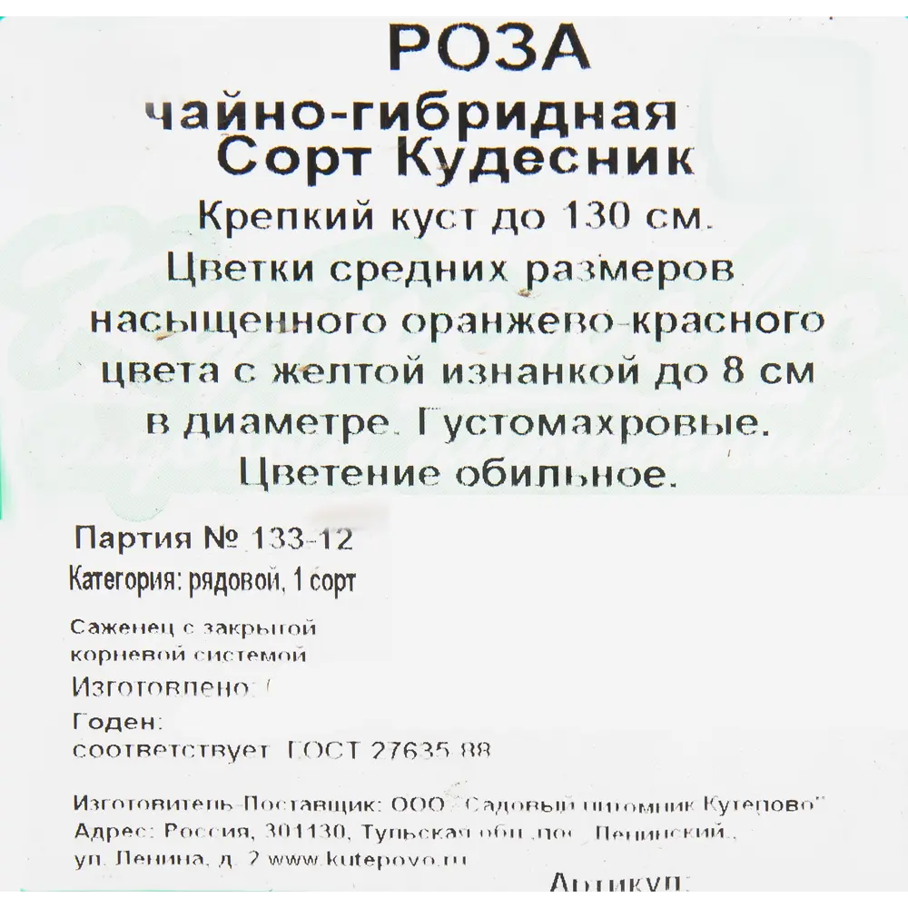 Роза чайно-гибридная «Кудесник» 15x30 см 82594797 STLM-2128066 Santreyd  - Вид №1