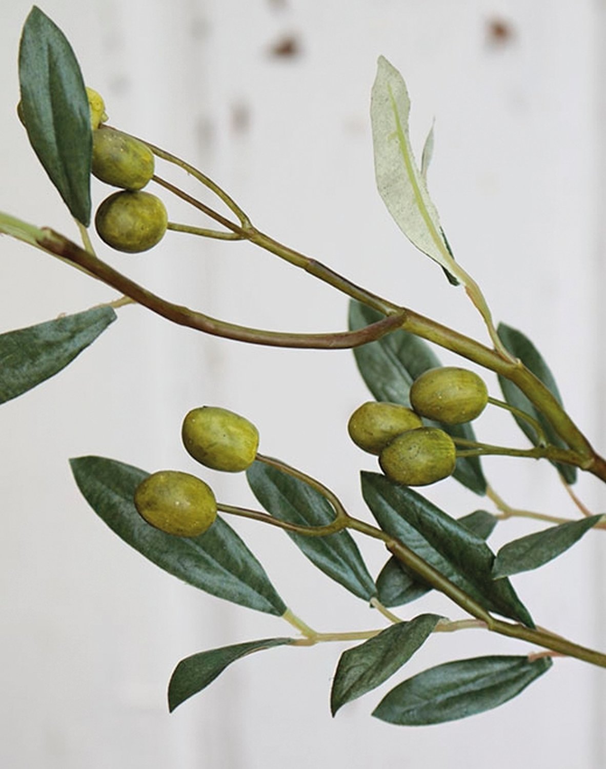 4502 883 a3 Искусственная оливковая ветвь, 140 см, зеленая H-andreas 