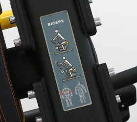 PL-1713 Bronze gym pl-1713 бицепс Bronze Gym  - Вид №11