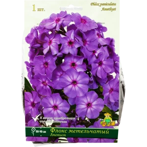 Флокс метельчатый «Аметист», 1 шт. 82118748 STLM-2144332