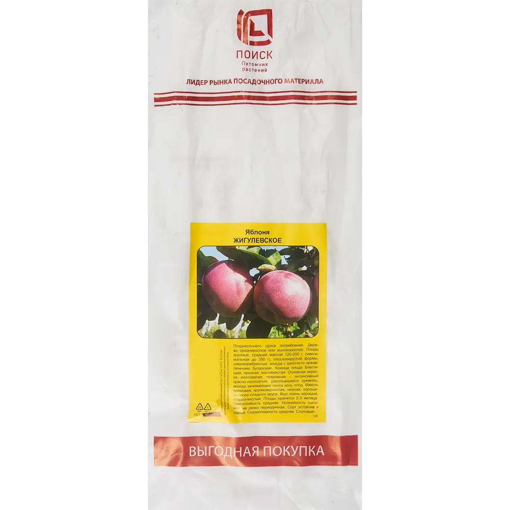 Яблоня Жигулевское h90 см 83791274 STLM-2133052 Santreyd 