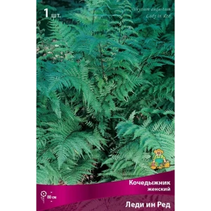 Кочедыжник женский Леди Ин Ред луковица I 83599267 STLM-2167072
