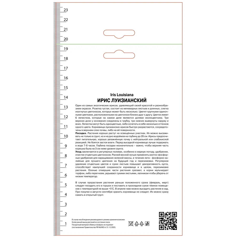 Ирис луизианский Энди Дэнди 89452194 STLM-2018350 ПОИСК  - Вид №1