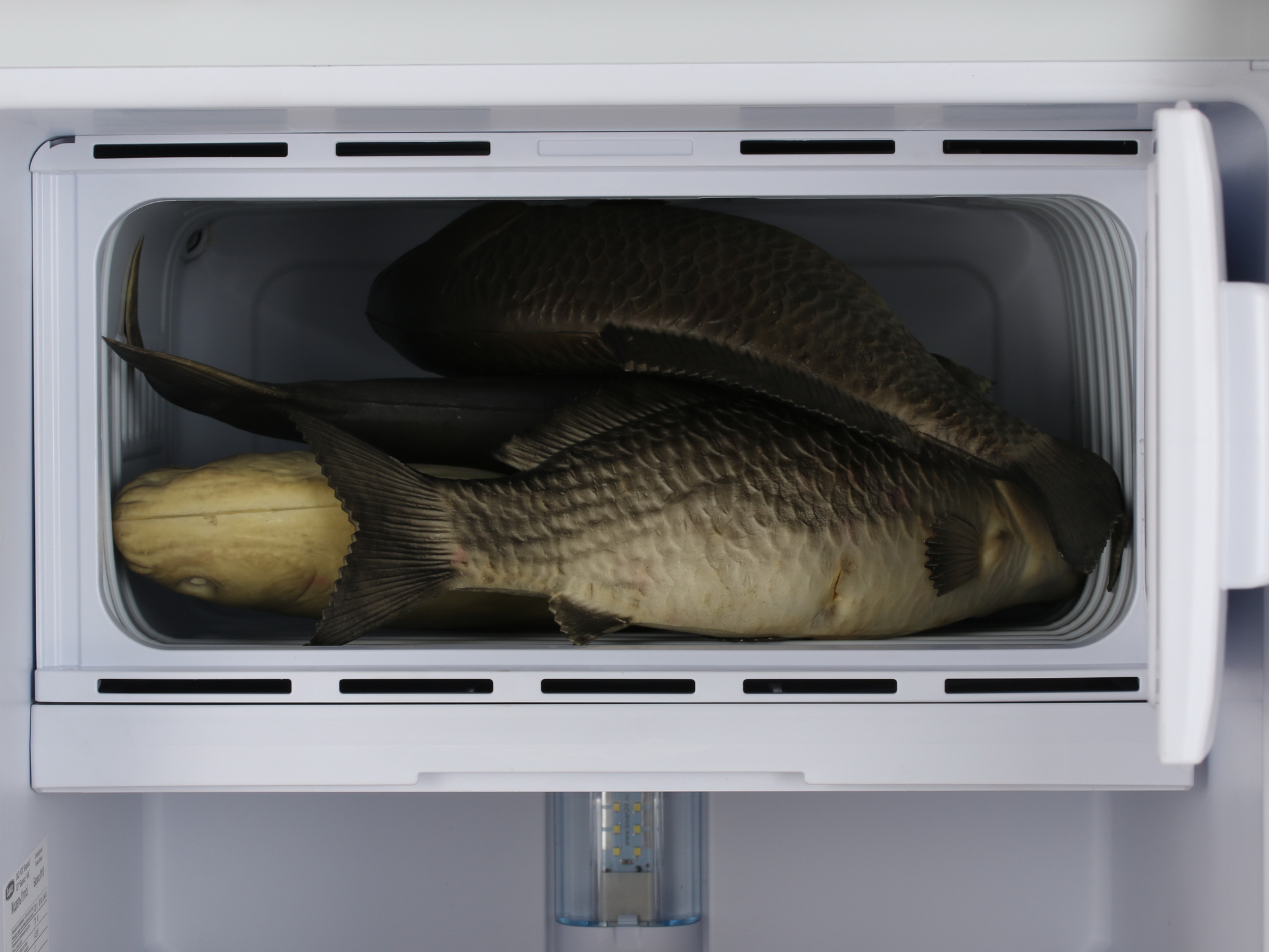 1139895 Холодильник компактный   Бирюса М110 серый STDN-0022657 - Вид №10