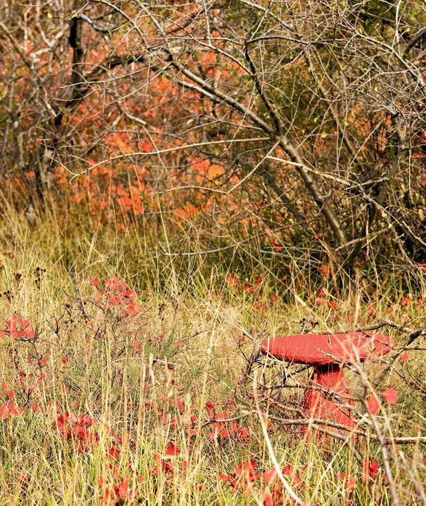 Moroso Табурет из полиэтилена sun-id-1383590 - Вид №1