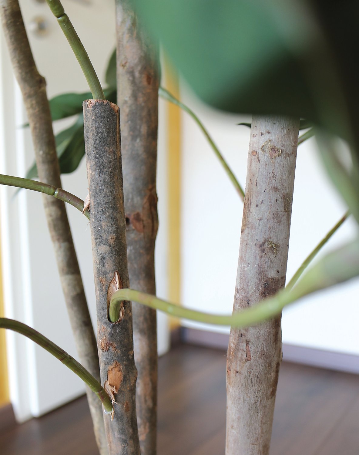 5580 883 a3 Искусственная шефлера, горшок, 165 см, зеленый H-andreas  - Вид №2