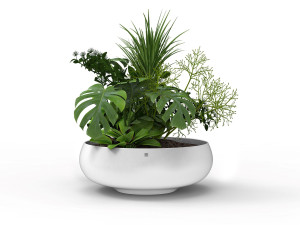 Низкий садовый горшок из стекловолокна